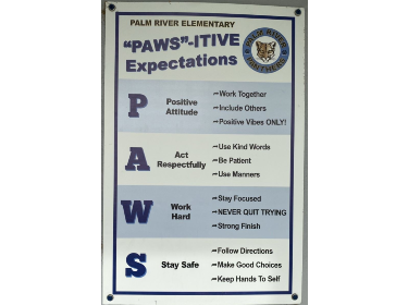  Pawsitive Expectations